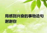 用感到興奮的事物造句謝謝你