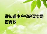 誰知道小產(chǎn)權(quán)房買賣是否有效