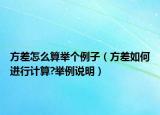 方差怎么算舉個例子（方差如何進(jìn)行計算?舉例說明）