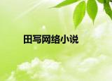 田寫網絡小說
