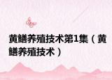 黃鱔養(yǎng)殖技術(shù)第1集（黃鱔養(yǎng)殖技術(shù)）