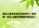 地球上最早生物化石的年代（世界第一朵花 白堊紀(jì)早期時(shí)代的化石）