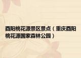 酉陽桃花源景區(qū)景點（重慶酉陽桃花源國家森林公園）