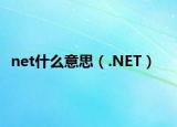 net什么意思（.NET）