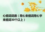 心組詞詞語（用心來組詞用心字來組詞30個以上）