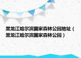 黑龍江哈爾濱國(guó)家森林公園地址（黑龍江哈爾濱國(guó)家森林公園）
