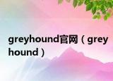 greyhound官網(wǎng)（greyhound）