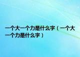 一個大一個力是什么字（一個大一個力是什么字）