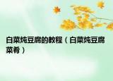 白菜燉豆腐的教程（白菜燉豆腐 菜肴）