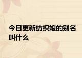 今日更新紡織娘的別名叫什么