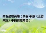 關(guān)羽是啥英雄（關(guān)羽 手游《王者榮耀》中的英雄角色）