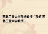 西北工業(yè)大學(xué)孫浩教授（孫超 西北工業(yè)大學(xué)教授）