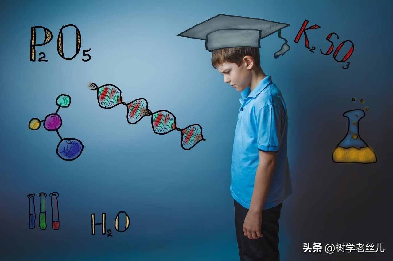 初中生學(xué)習(xí)方法：掌握正確的學(xué)習(xí)方法，比任何努力都重要