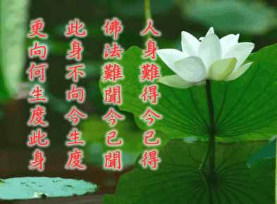 學習三不傷害