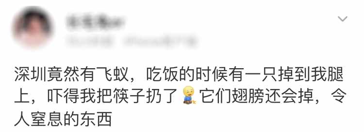 “拆家”警告！最近漫天飛舞的“大水蟻”，入屋后愛啃家具