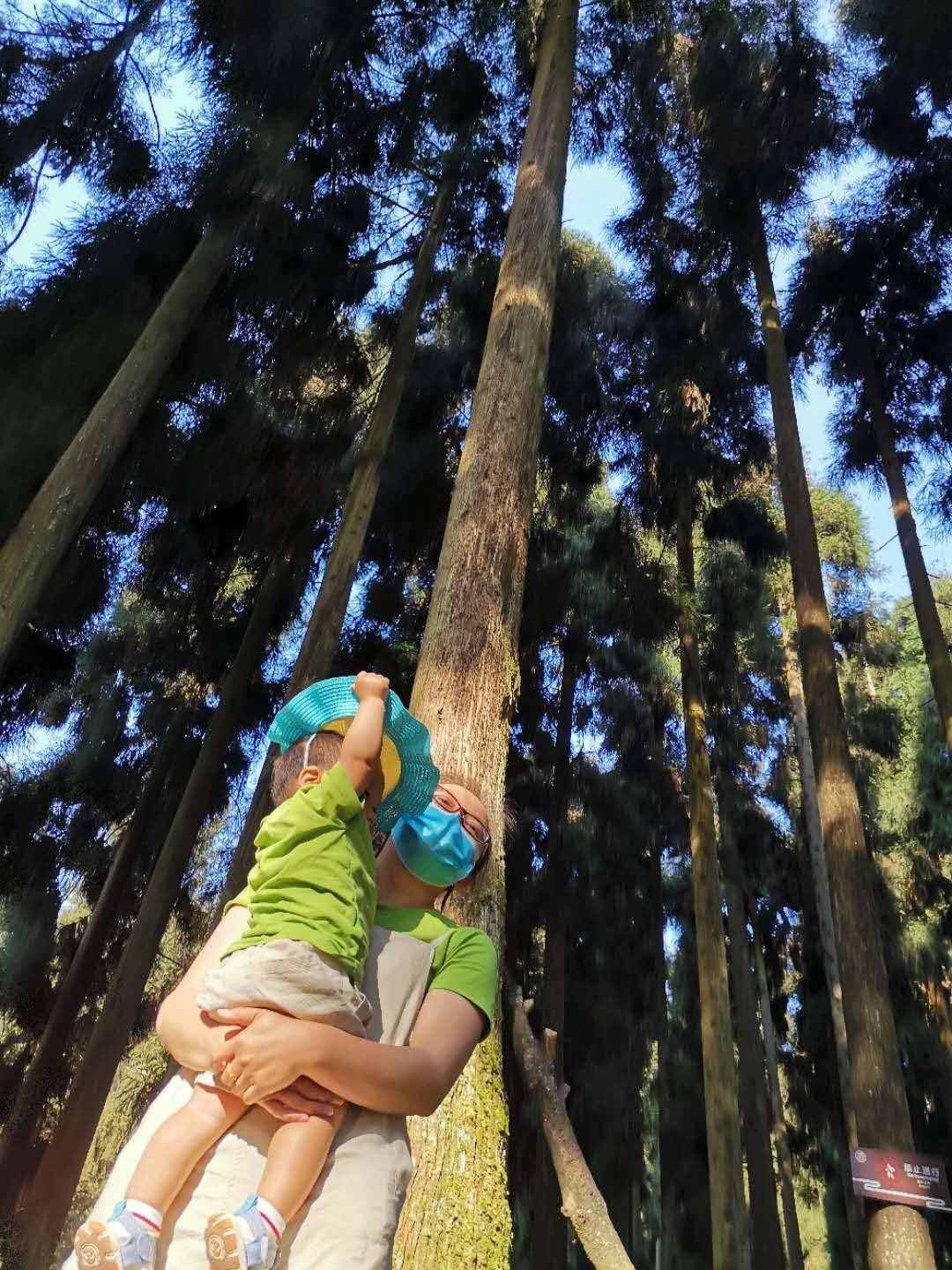 「成都周邊游」邛崍?zhí)炫_山自駕二日親子游攻略，去之前看這篇