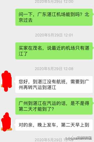 給大家介紹寵物托運的全過程，靠譜的寵物托運應該是怎么樣的