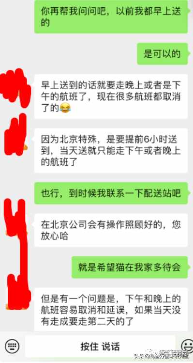 給大家介紹寵物托運的全過程，靠譜的寵物托運應該是怎么樣的