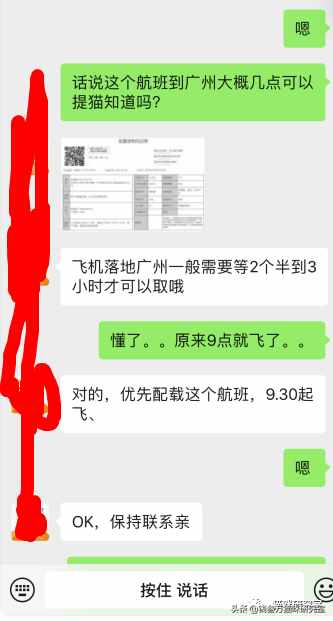 給大家介紹寵物托運的全過程，靠譜的寵物托運應該是怎么樣的