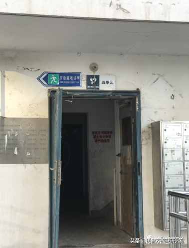 給大家介紹寵物托運的全過程，靠譜的寵物托運應該是怎么樣的