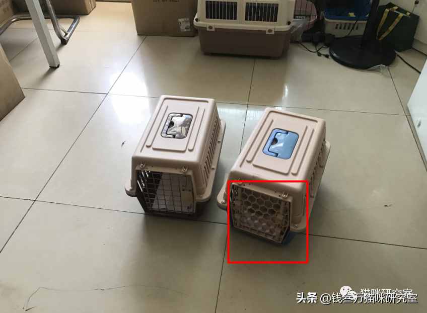 給大家介紹寵物托運的全過程，靠譜的寵物托運應該是怎么樣的
