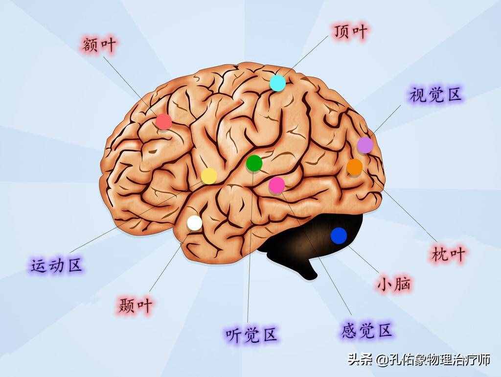 為何如此多的人發(fā)生腦出血？要如何正確應(yīng)對(duì)？一文詳細(xì)告知您
