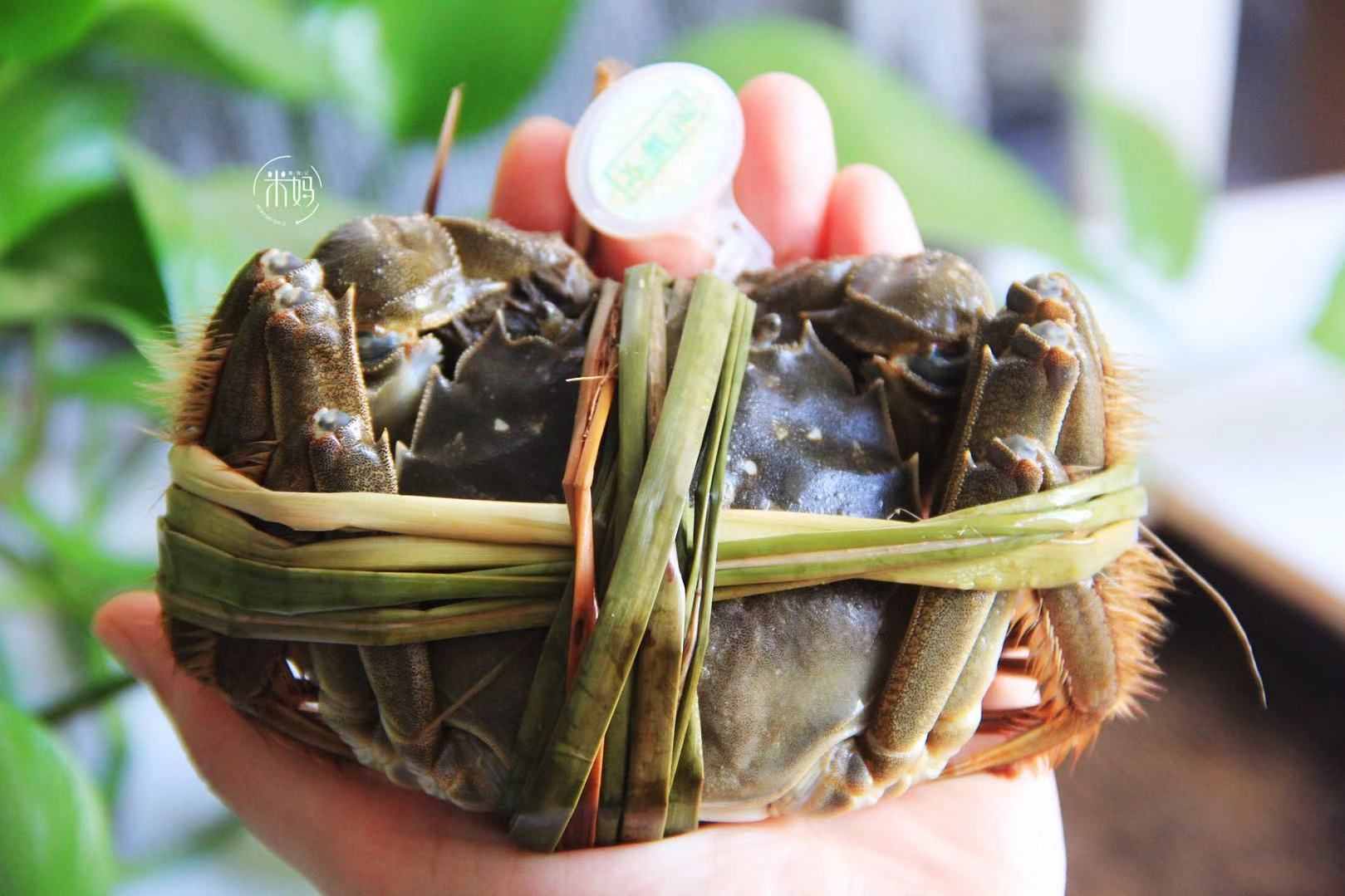 大閘蟹的正確吃法，簡單幾步讓你把蟹吃精光，不浪費(fèi)