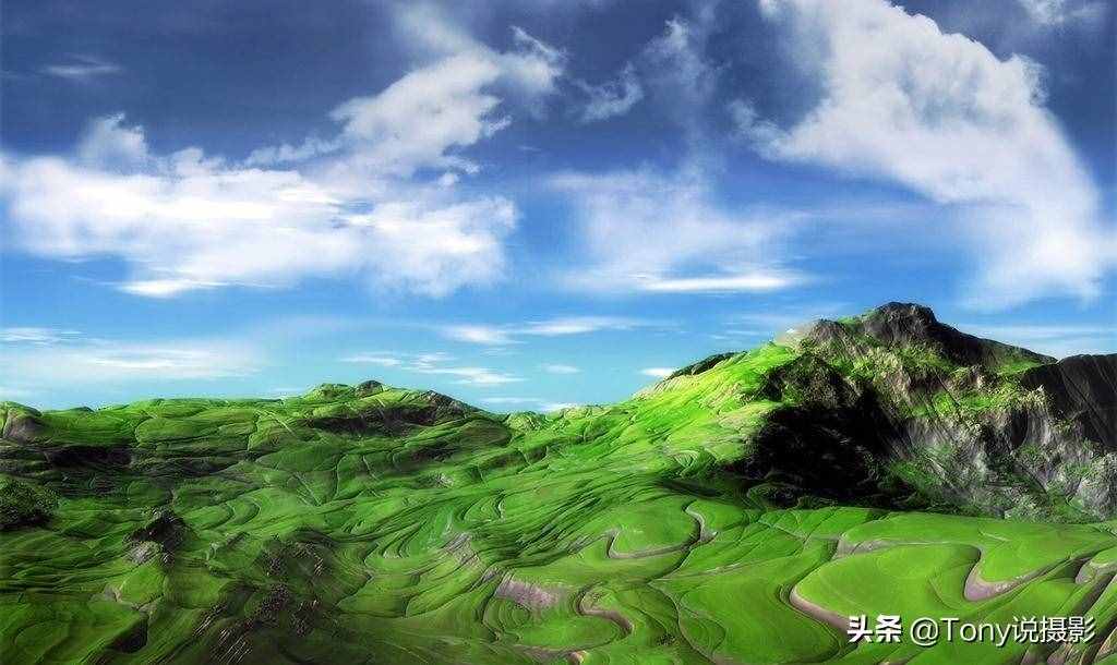 攝影基礎(chǔ)知識(shí)：相機(jī)的測(cè)光模式，你真的會(huì)用嗎？