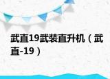武直19武裝直升機（武直-19）