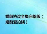 婚前協(xié)議全集完整版（婚前愛拍族）
