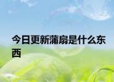 今日更新蒲扇是什么東西