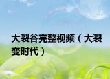 大裂谷完整視頻（大裂變時代）