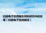 掃描電子顯微鏡在材料研究中的應(yīng)用（掃描電子顯微鏡法）