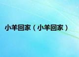 小羊回家（小羊回家）