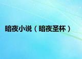 暗夜小說（暗夜圣杯）