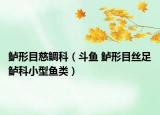 鱸形目慈鯛科（斗魚 鱸形目絲足鱸科小型魚類）