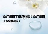 吹燈耕田王妃很純情（吹燈耕田王妃很純情）
