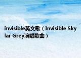 invisible英文歌（Invisible Skylar Grey演唱歌曲）