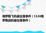 俄羅斯飛機(jī)被擊落事件（1124俄羅斯戰(zhàn)機(jī)被擊落事件）