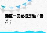 湯臣一品老板是誰（湯芳）