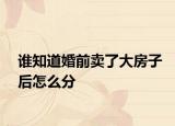 誰知道婚前賣了大房子后怎么分