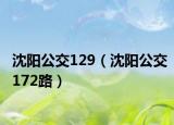 沈陽公交129（沈陽公交172路）