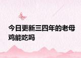 今日更新三四年的老母雞能吃嗎