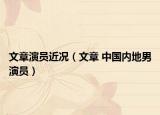 文章演員近況（文章 中國內(nèi)地男演員）