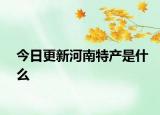 今日更新河南特產是什么
