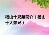 楊山十兄弟簡介（楊山十大弟兄）