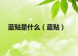 藍貼是什么（藍貼）