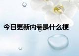 今日更新內卷是什么梗