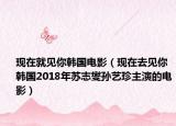 現(xiàn)在就見你韓國電影（現(xiàn)在去見你 韓國2018年蘇志燮孫藝珍主演的電影）