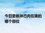 今日更新淋巴肉在豬的哪個部位